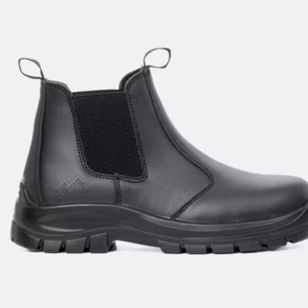 TC310 - Oregan S1P SRC Thumbnail