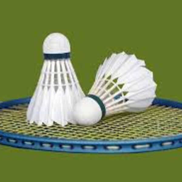 Mens Badminton Thumbnail